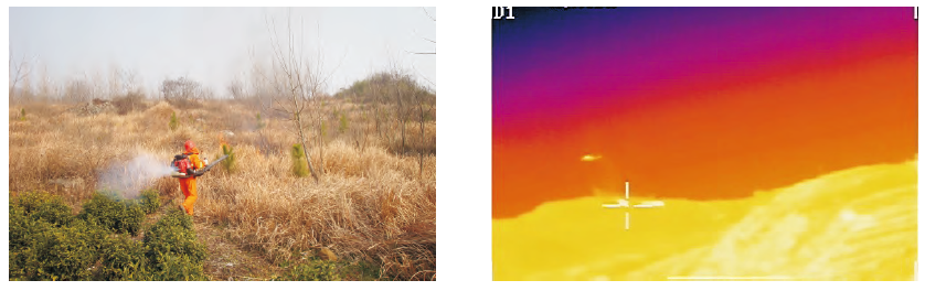 1554775384658795kwpF.png QQ截图20151203143429.png